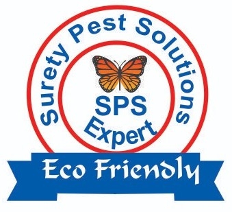 SPS PEST CONTROL IN DELHI NCR